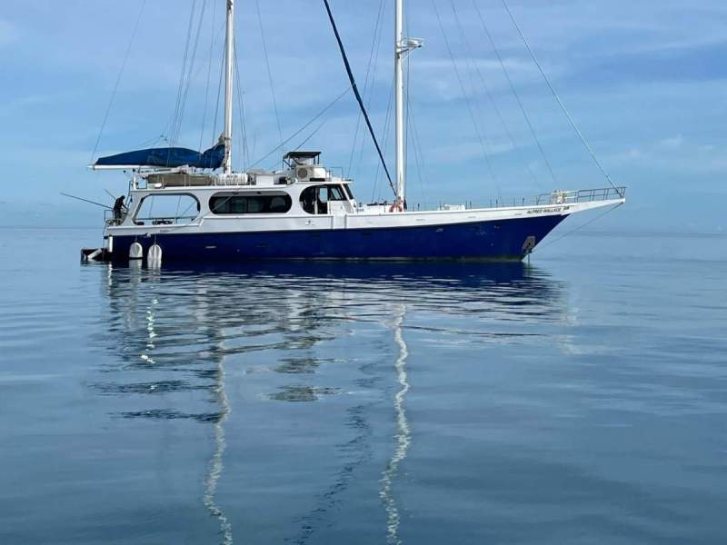 24m Steel Motor Sailor