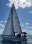 Catalina 320