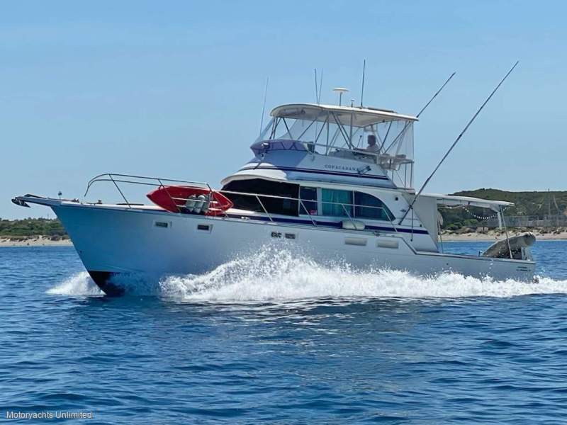 Bertram Caribbean 42 extended to 45 - COMING SOON!!