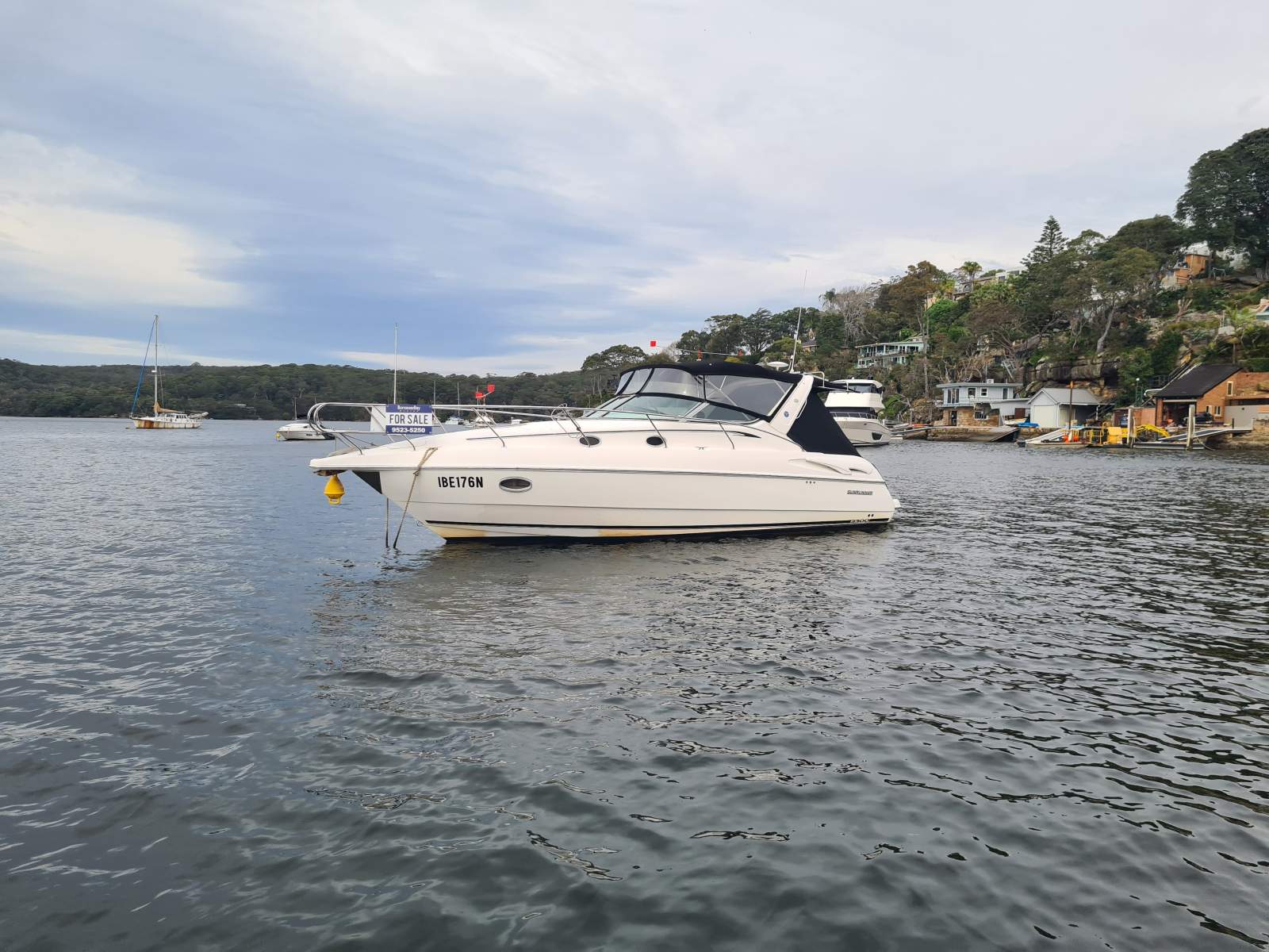 Sunrunner 3300 Sports Cruiser