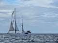 Bruce Roberts 45 Pilothouse Staysail Ketch