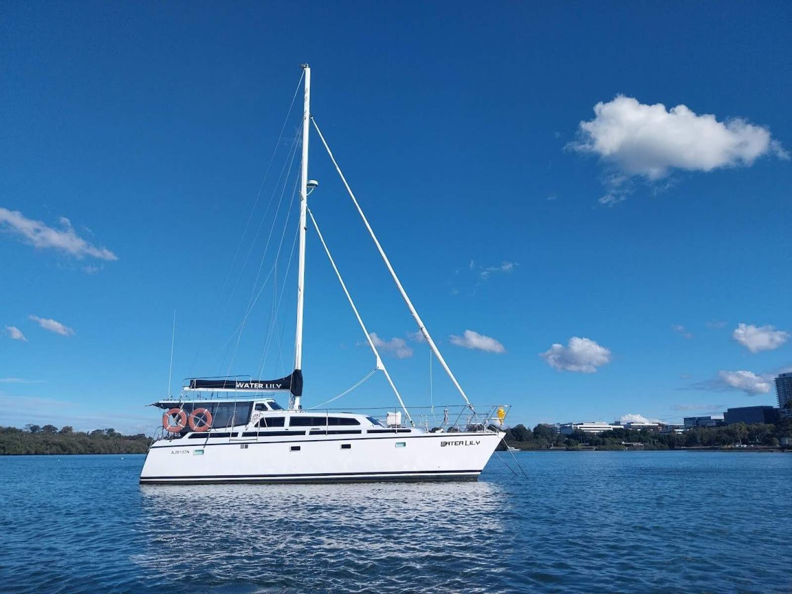 Chamberlin Stratus 12