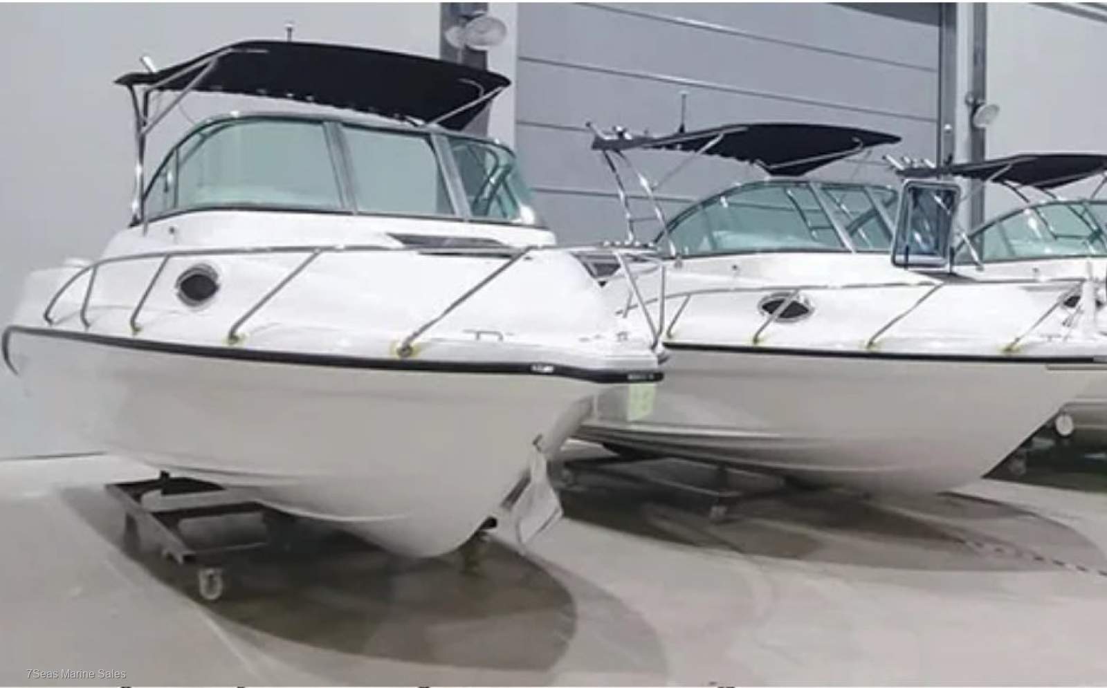 Reflex Chianti 655 SC 2026