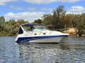 Venom 2800 Sports Cruiser with New Clears and Canopies