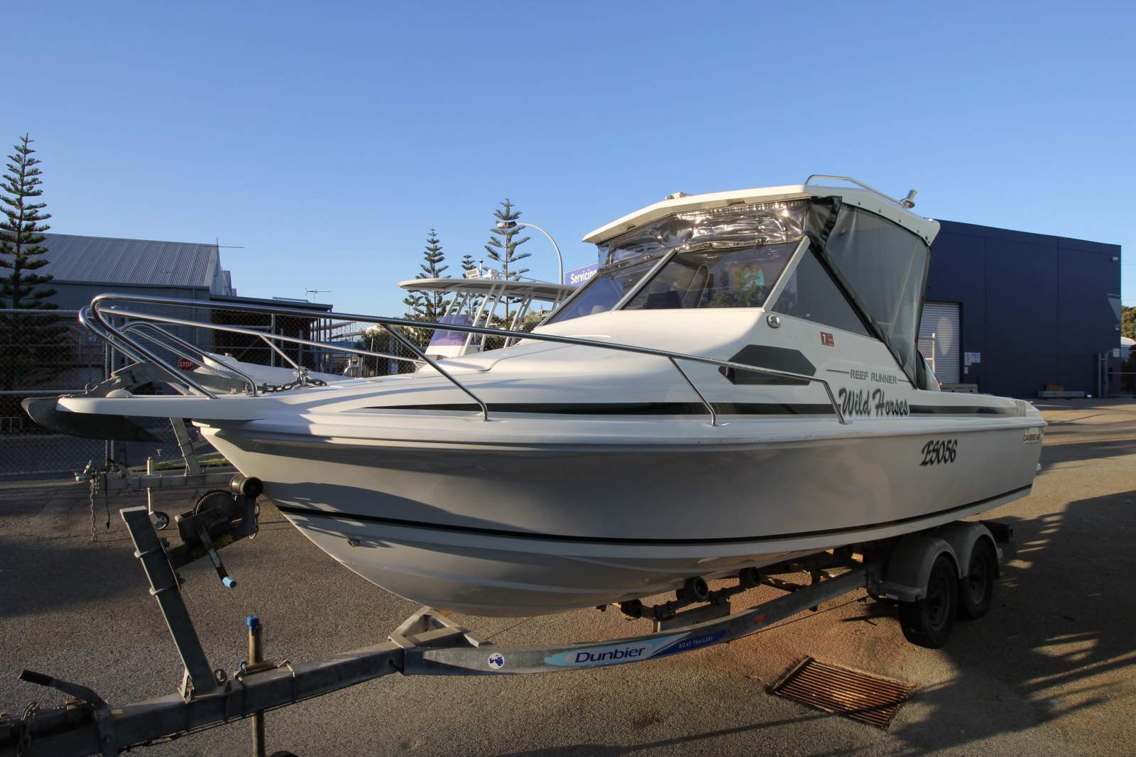 Caribbean Reef Runner