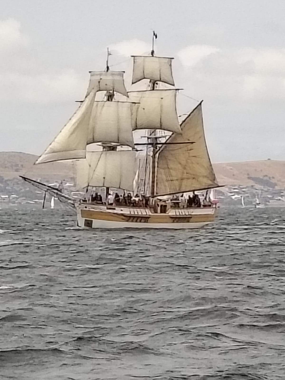 Historical Swing Mooring for sale, Sandy Bay Hobart.