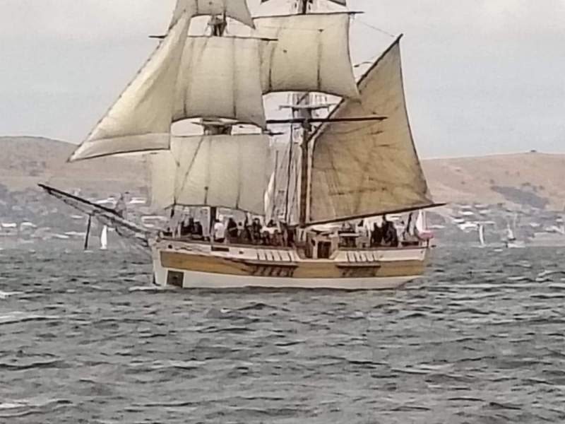 Historical Swing Mooring for sale, Sandy Bay Hobart.