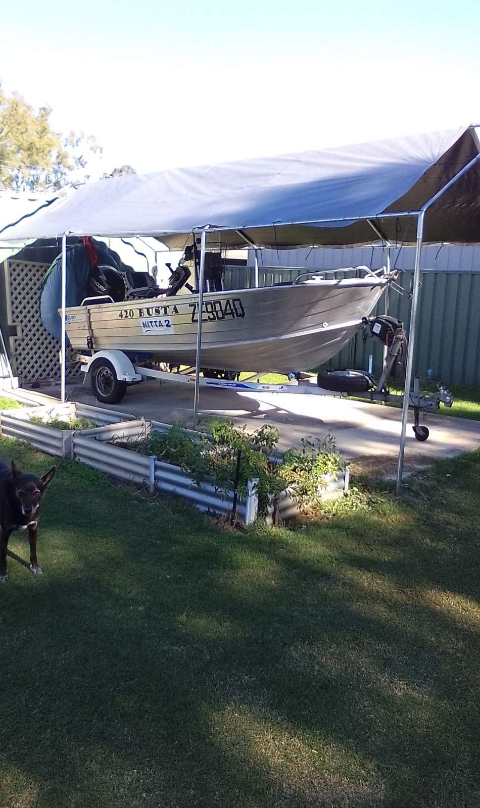 Quintrex 420 Busta