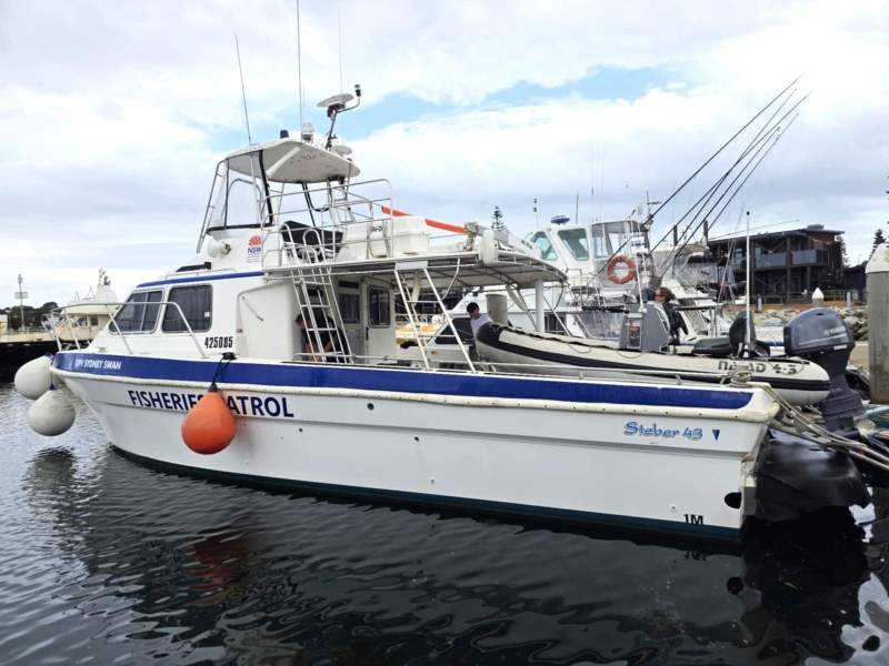 Steber 43 Flybridge Commercial