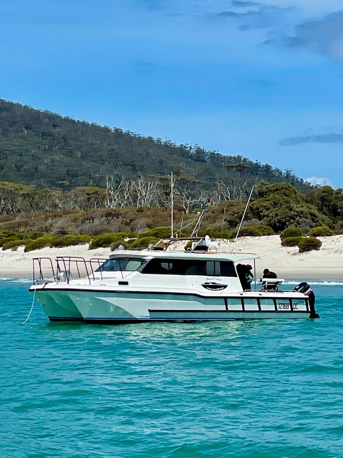 Cougar Cat 9.8 Wide Body