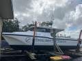 Cougar Cat 1060 VV1000 WIDE BODY CHARTER BOAT