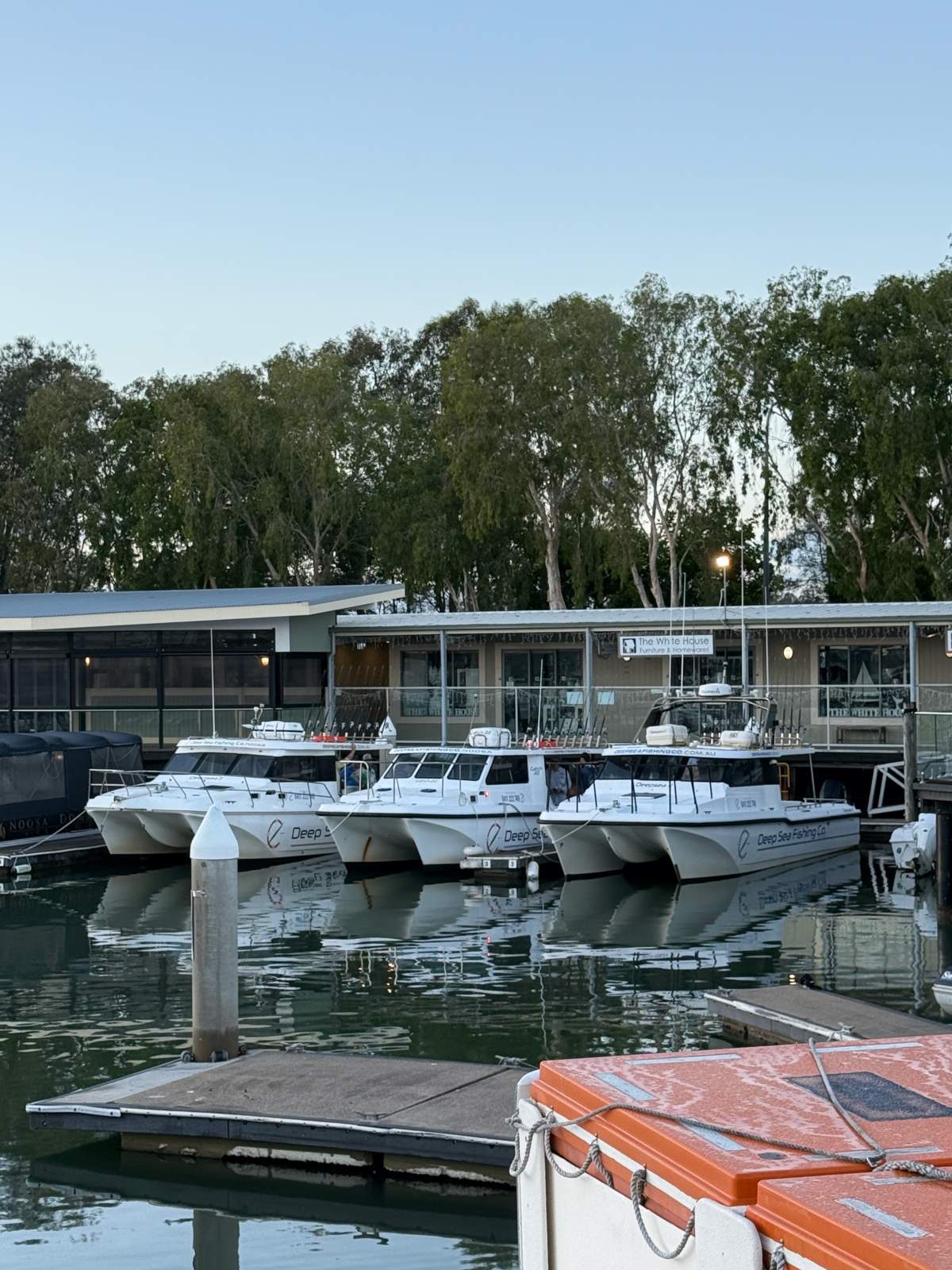 Cougar Cat 1060 VV1000 WIDE BODY CHARTER BOAT