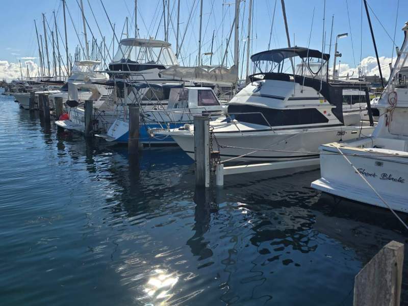 Bertram 28 Flybridge