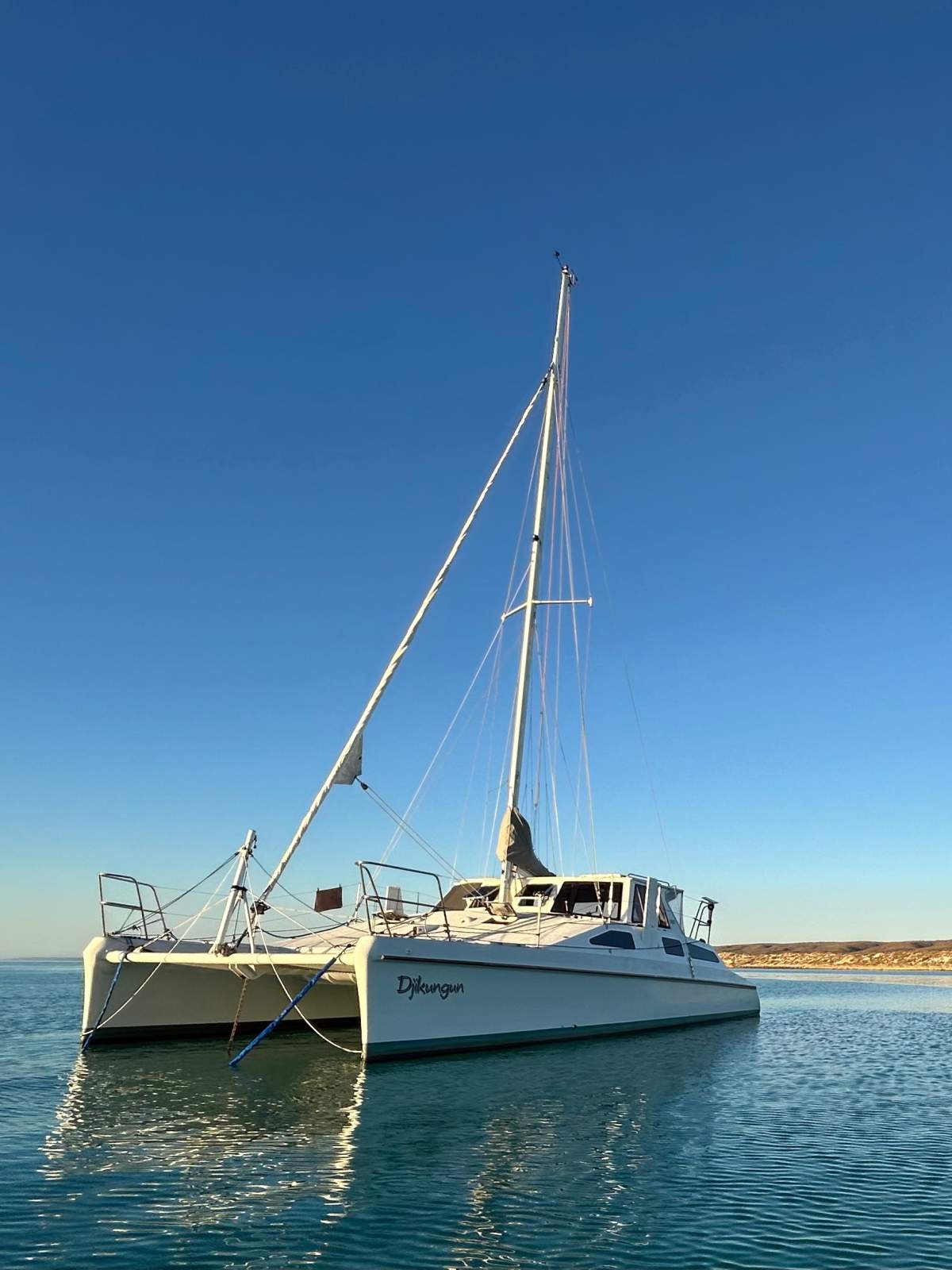 Chamberlin Parallax 11.6