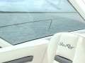 Sea Ray 515 Sundancer