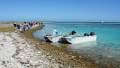 Eco Abrolhos - Tourism Business Package