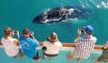 Eco Abrolhos - Tourism Business Package
