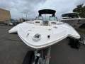 Chaparral 264 Sunesta Bowrider