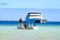 Eco Abrolhos - Tourism Business Sale