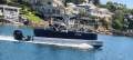 Pacific Pontoons 250