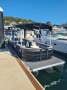 Pacific Pontoons 250