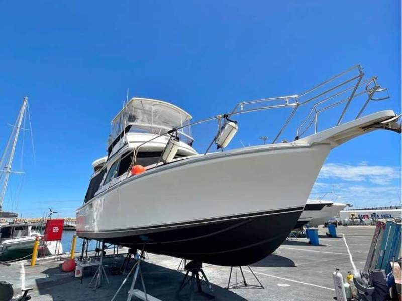 Bertram 35 Flybridge