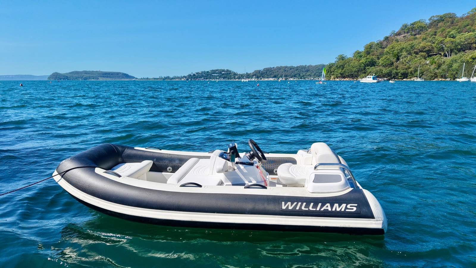 Williams 325 Turbojet