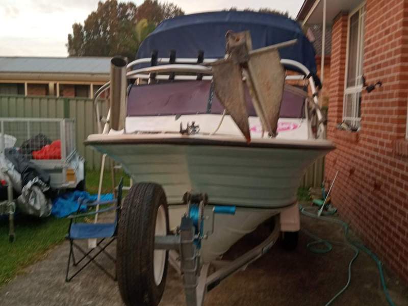 Nautiglass 4.5 Runabout