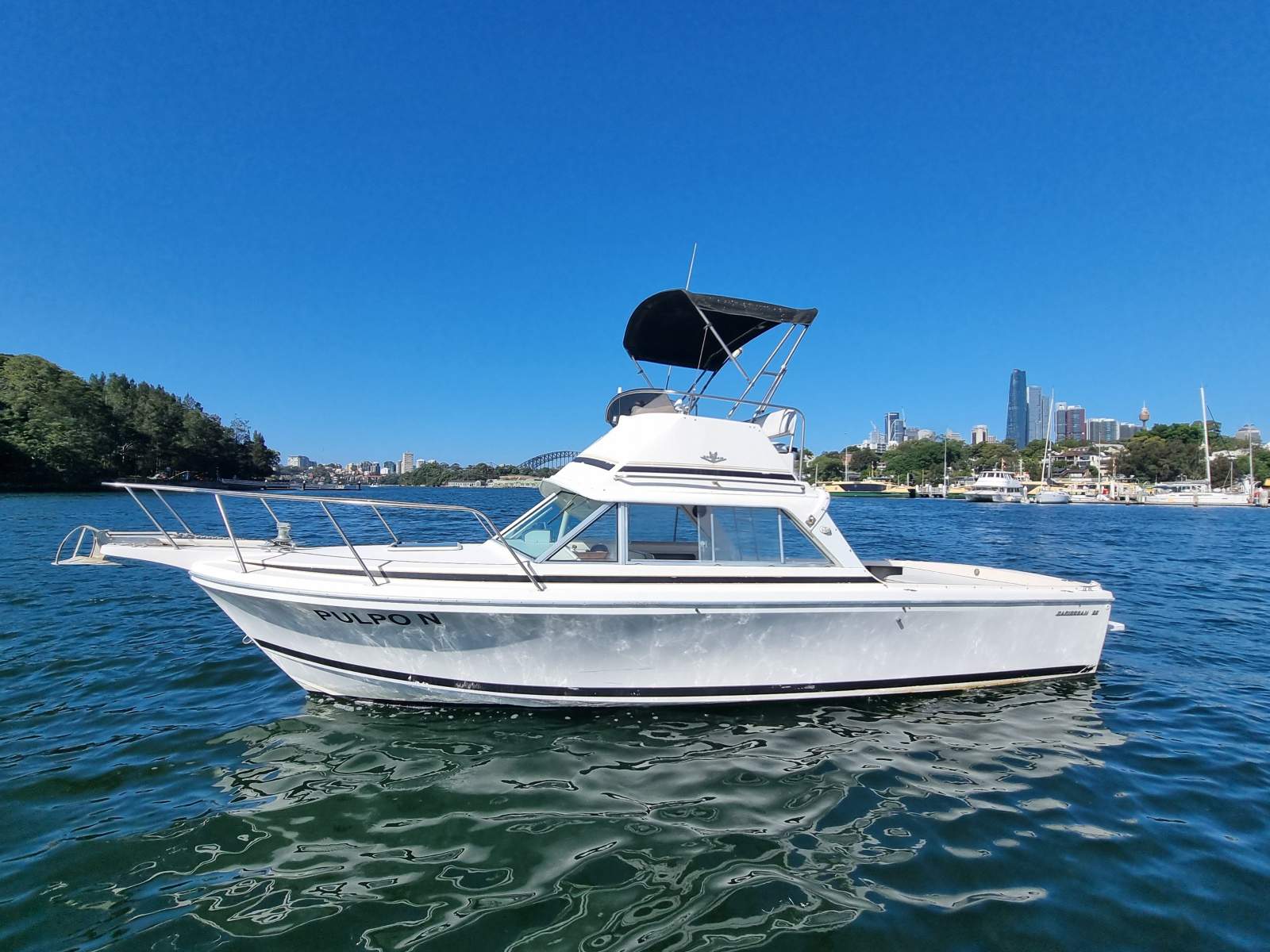 Bertram Caribbean 26 Flybridge