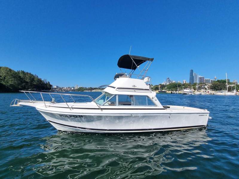 Bertram Caribbean 26 Flybridge