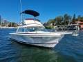 Bertram Caribbean 26 Flybridge