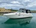 Sea Ray 270 Amberjack