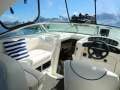 Sea Ray 260 DA