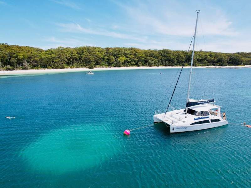 Seawind 1160 in 2C AMSA survey