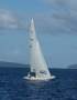 International Dragon Ridgeway - "Xanthos" AUS212