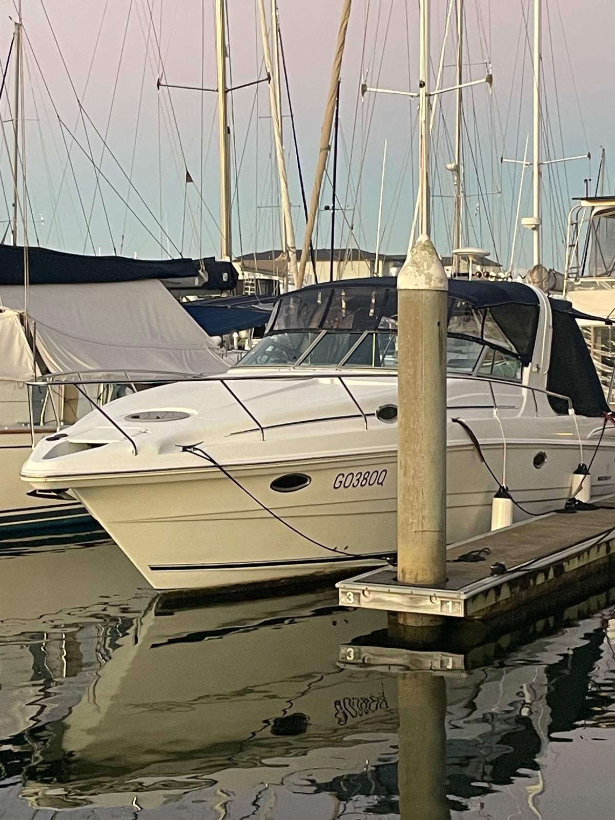 Mustang 3800 Sportscruiser