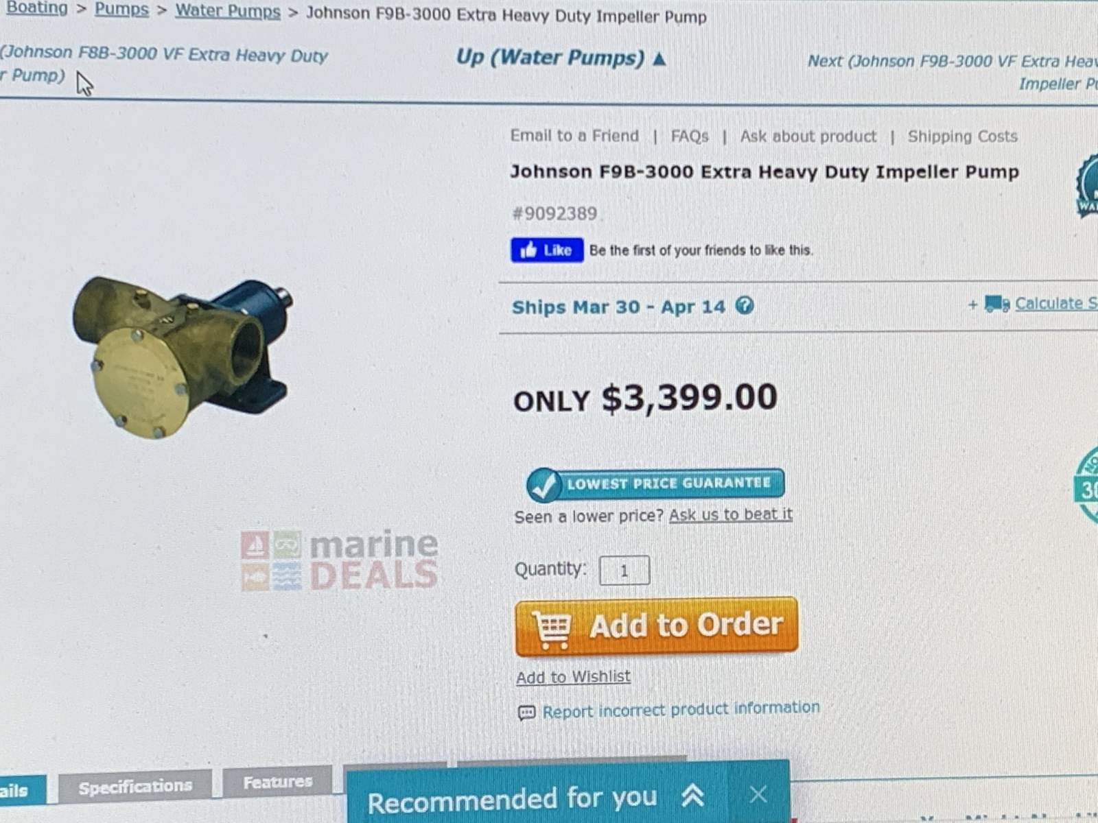 Johnson/Jabsco 2" Pump