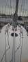 Sydney Yachts 38OD