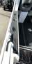 Gospel 6.25 Profisher SUIT NEW BOAT BUYER.