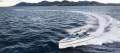 New Saxdor Yachts 320 GTO
