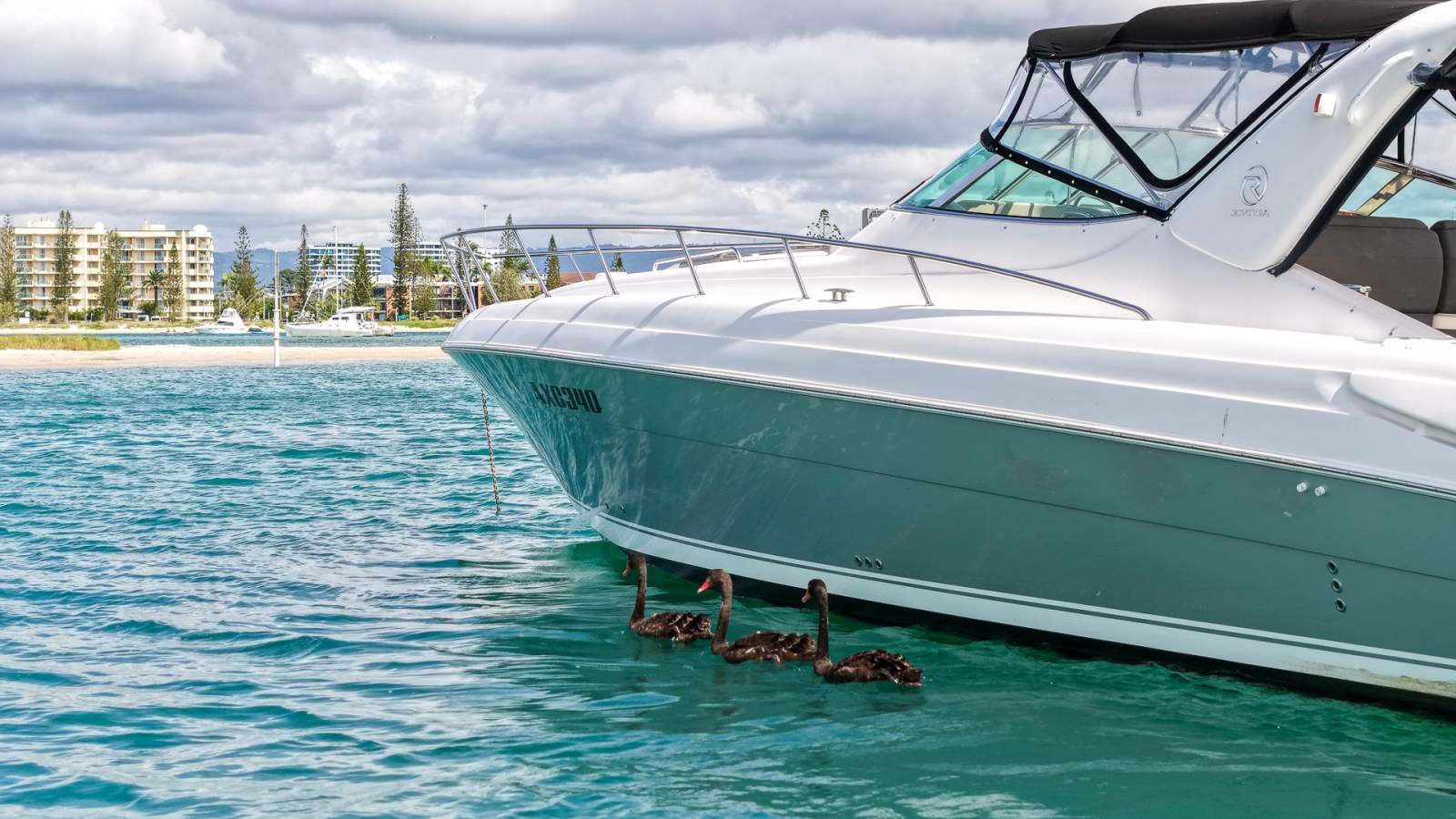 Riviera M430 Sports Cruiser