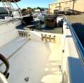 Whaler 565 SUPER VERSATILE, SOFT RIDING GREAT DECK SPACE