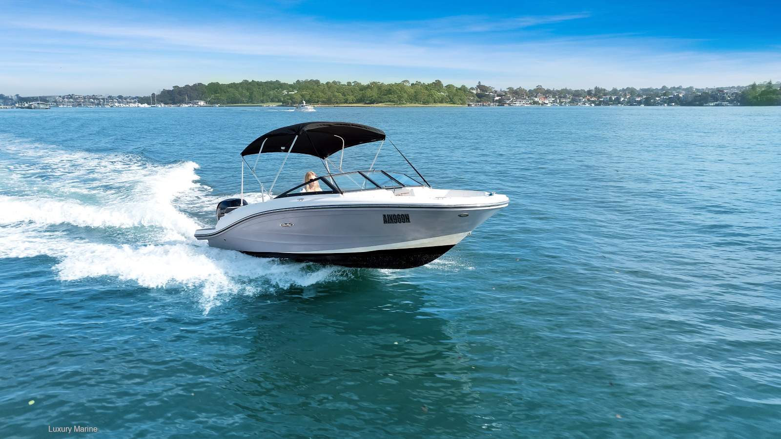Sea Ray 190 SPX OB