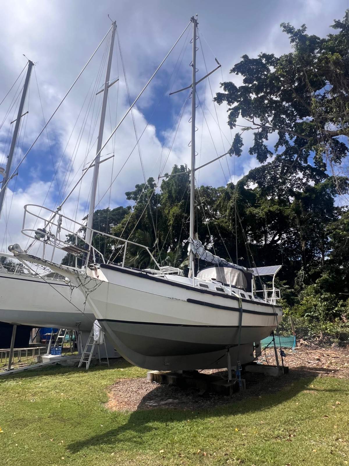 Bruce Roberts Spray 33