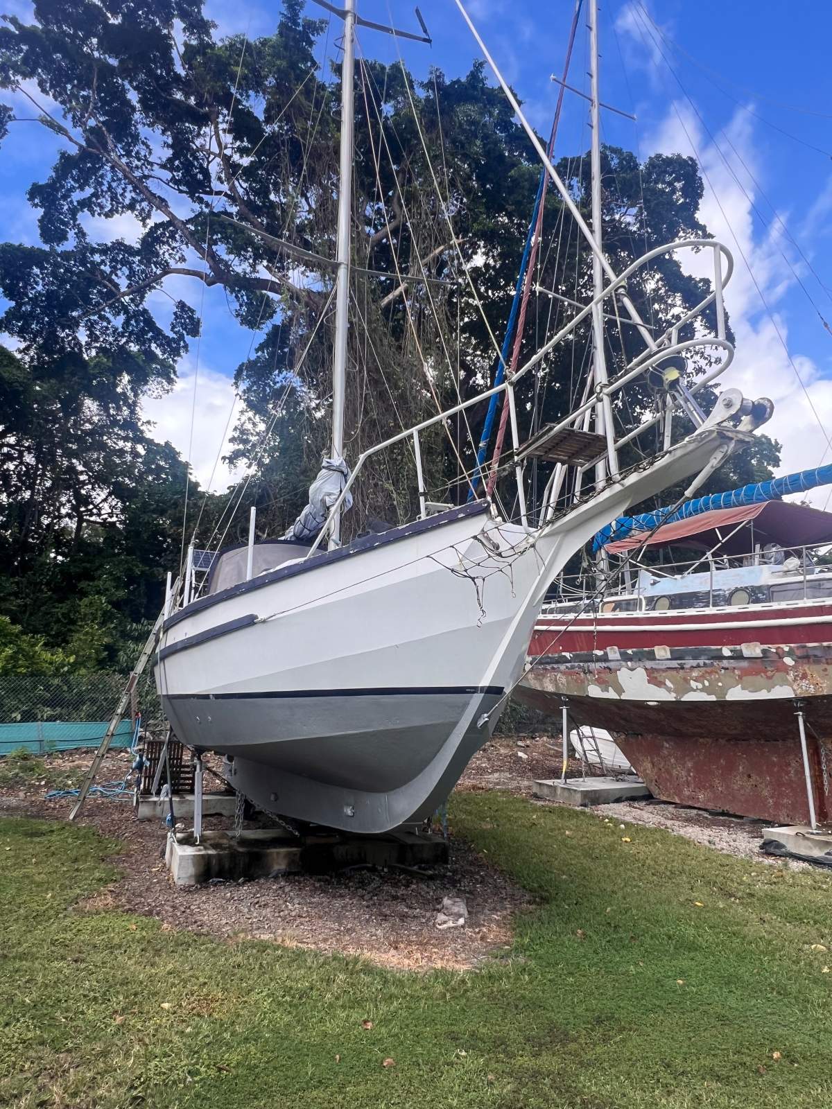 Bruce Roberts Spray 33