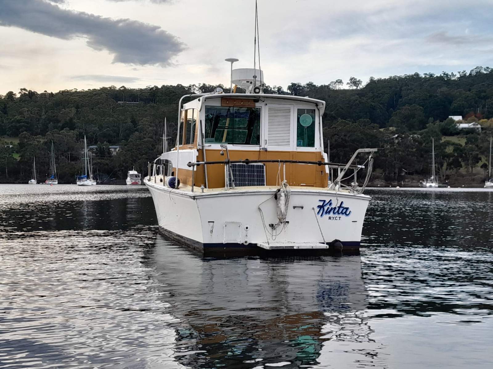 Savage 30 Cruiser