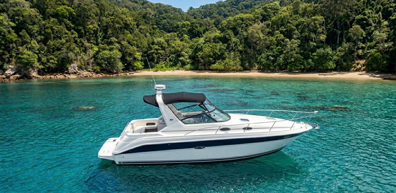 Sea Ray 310 Sundancer