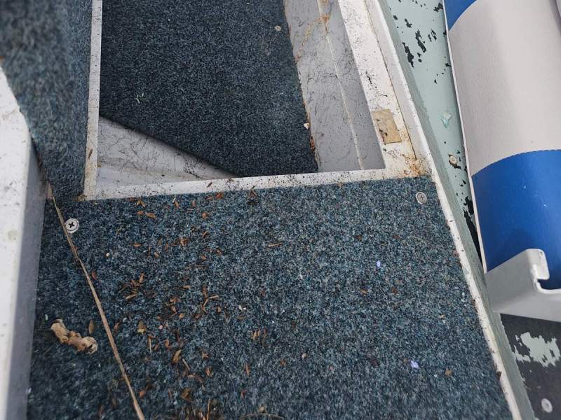 Quintrex 385 Explorer