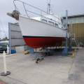 Custom 42ft Timber Motor Cruiser "Maybe":Vessel on hard stand