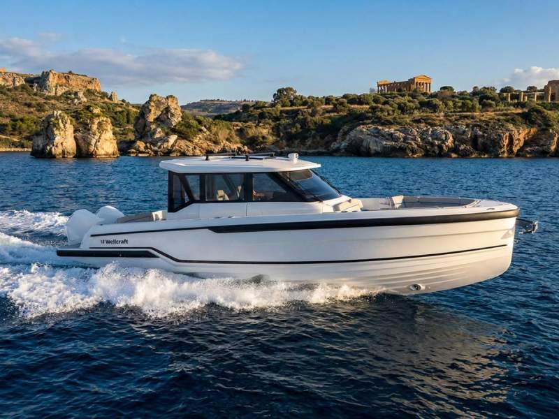 Wellcraft 28 Explorer